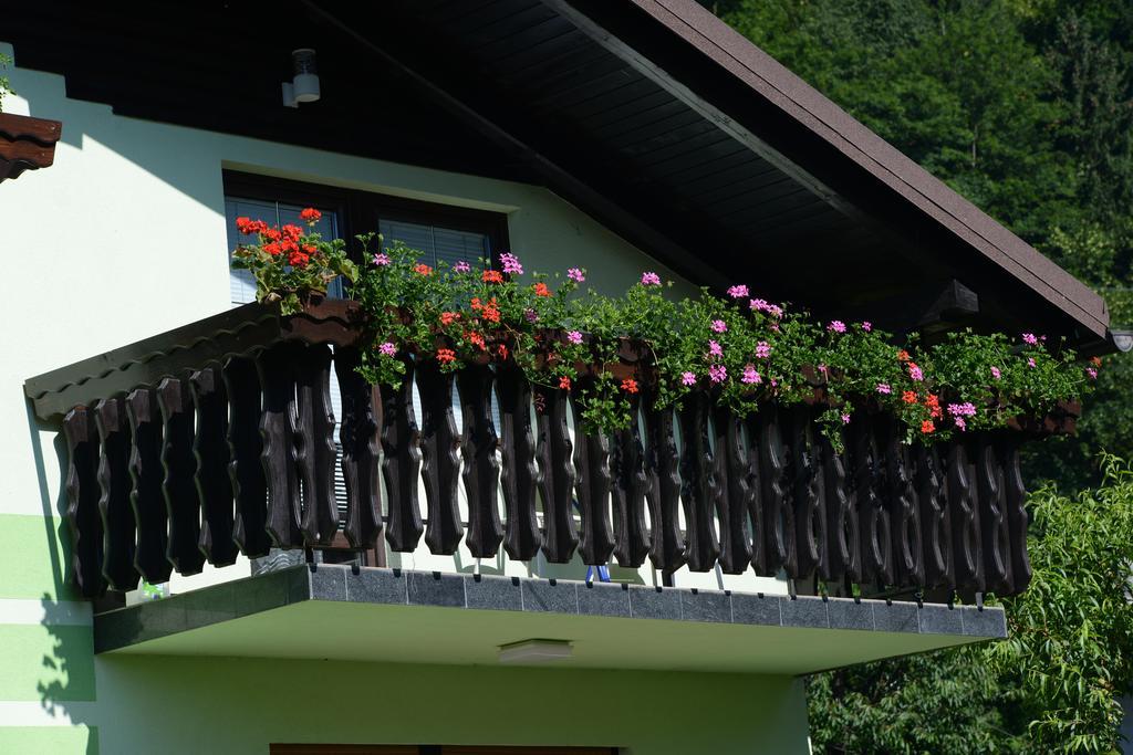 Zeleni Apartma Zreče Buitenkant foto